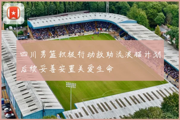 四川男篮积极行动救助流浪猫计划后续妥善安置关爱生命