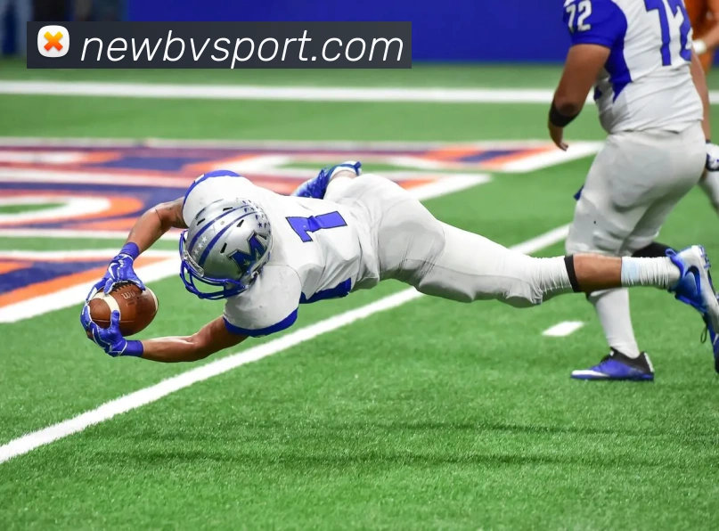 App Interface Preview